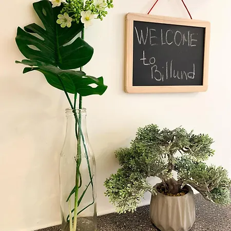 5 Minute Walk To Lego House - Location-garden On Site-n18 Billund